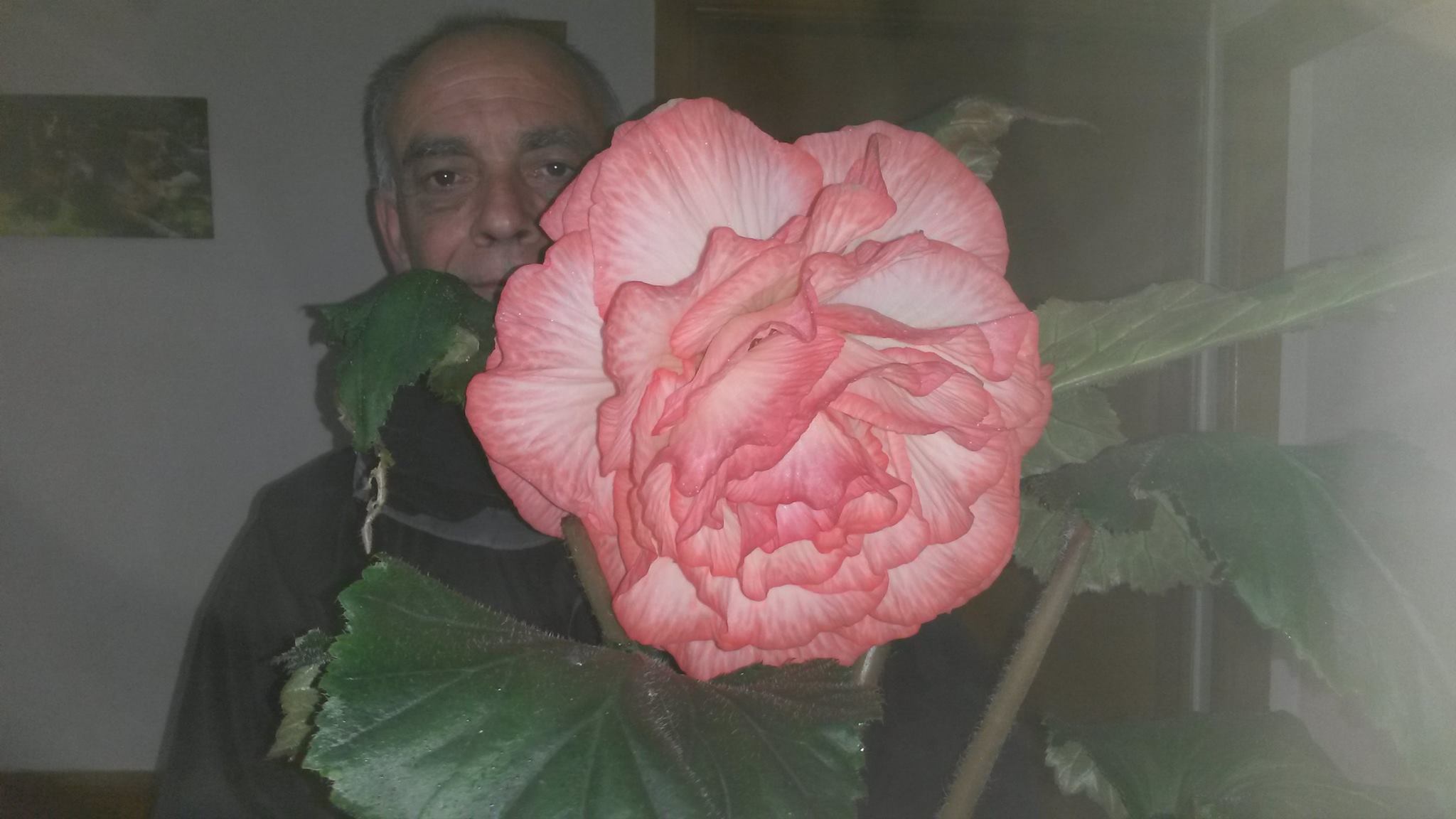B. ‘Dr. Sparky’